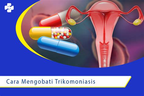 Cara Mengobati Trikomoniasis Agar Sembuh Klinik Utama Sentosa