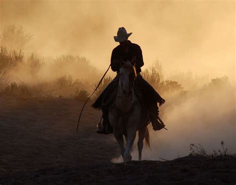 Horse And Cowboy Riding At Dusk Horses Horse Art Photography