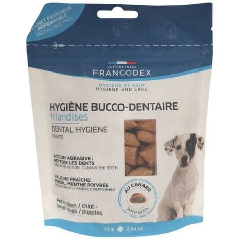 Hygiene Bucco Dentaire Pour Le Chien