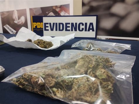 TVO San Vicente Dos Detenidas Por Procesado Y Venta De Cannabis