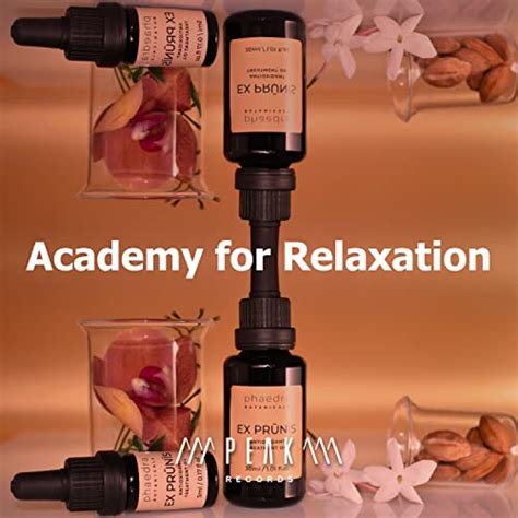 Academy For Relaxation Von Academia De Música Para Massagem Relaxamento