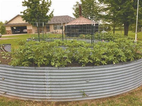 36 Curved Raised Garden Bed Ideas Ideas Creativedecor