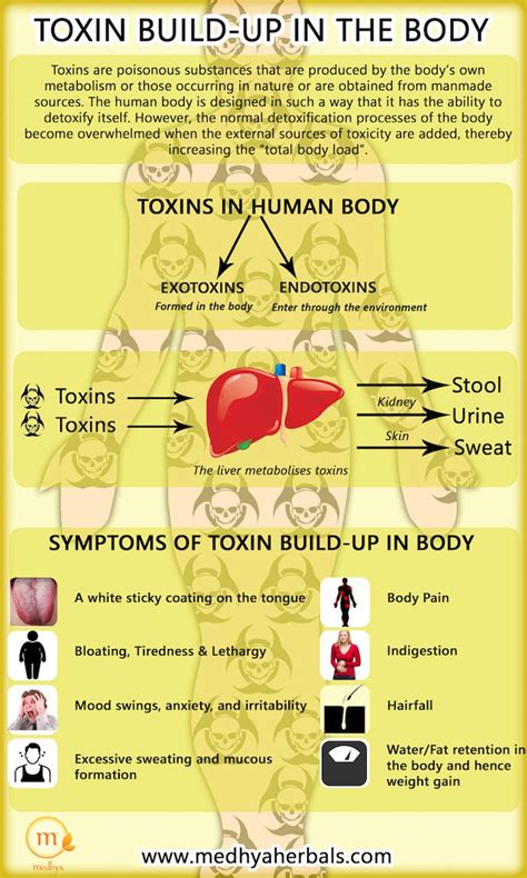 The 30 Second Toxin Flush The Easiest Way To Naturally Detox