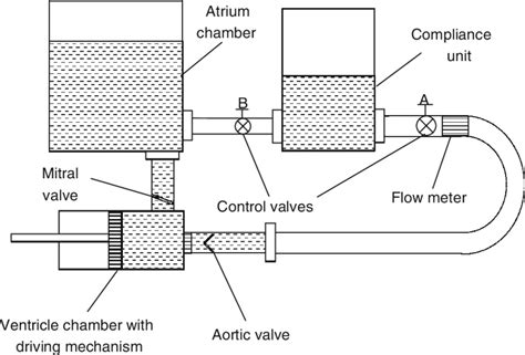 Schematic Of The Pulsatile Systemic Flow Test Rig Download Scientific Diagram