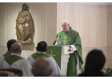 Homil A Del Papa Francisco En Santa Marta El Buen Pastor Toca La