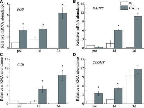 Relative Mrna Expression Levels Of Genes Related To Lignin Synthesis