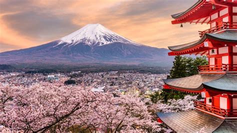 20 Countries Where You Can See the Japanese Cherry Blossoms ...