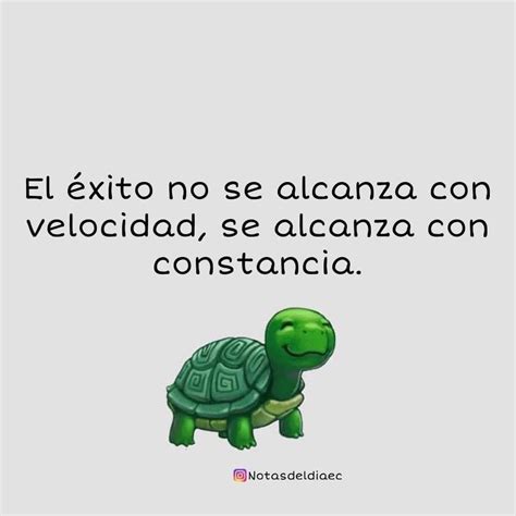 El éxito no se alcanza con velocidad Se alcanza con constancia Frases