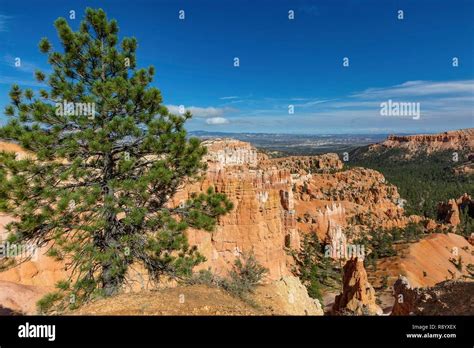 United States Utah Bryce Canyon National Park An Impressive