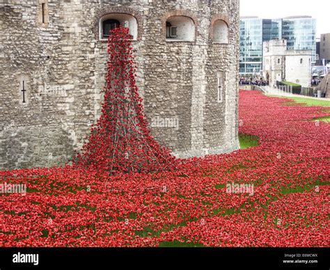 Remembrance Poppies at Tower of London Stock Photo - Alamy