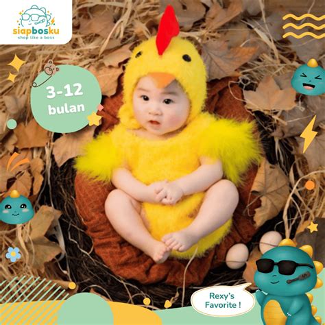 Jual Kostum Bayi Properti Foto Bayi Newborn Animal Ayam Lucu Shopee