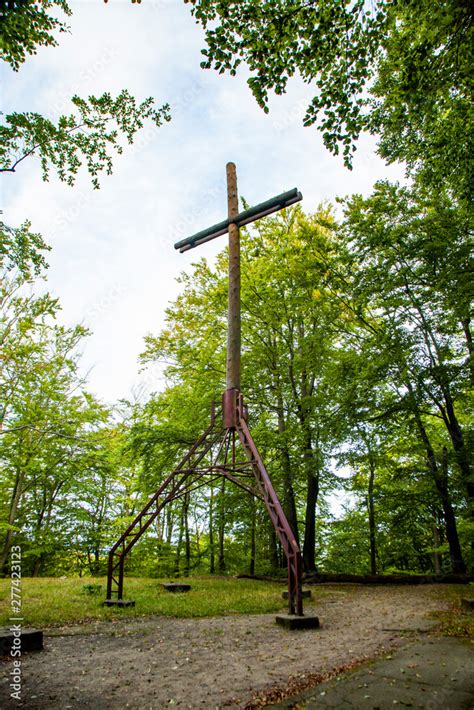 Rezerwat Przyrody Wie Yca Kaszubski Park Krajobrazowy Kaszuby Widok Las