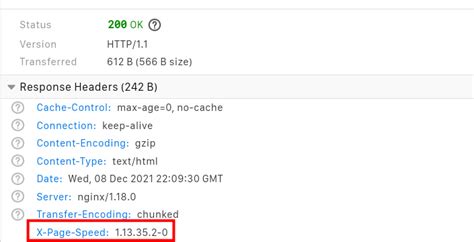 C Mo Configurar Nginx Con El M Dulo Google Pagespeed En Debian