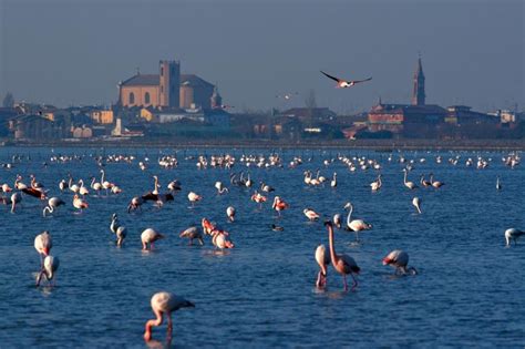 Comacchio Lagoons