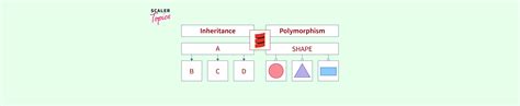 Scala Inheritance Polymorphism Scaler Topics