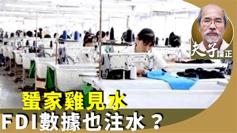 劉銳紹：去年中國的外商直接投資fdi暴跌82降至30年最低點。台商及外資投資中國佔比皆創新低。為何德國投資反提升？ Youtube