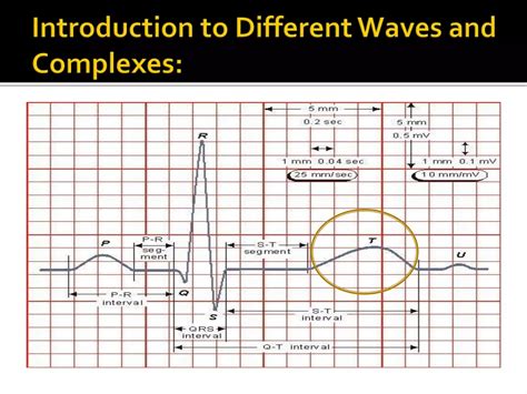 basic ecg readingspptx