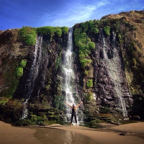 Alamere Falls Point Reyes National Park Beautiful Places To Travel