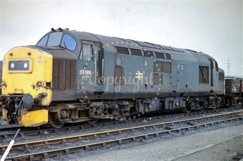 The Transport Treasury Class 37 Ght4370 Uk Br Class 37 37199 At Tyne Yard 07 04 1979