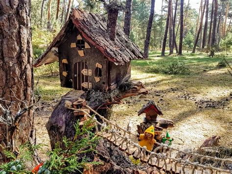 El bosque mágico de Fuente del Pino donde habitan hadas gnomos y