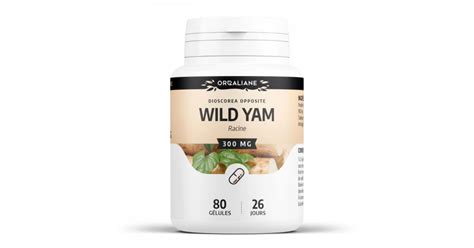 Wild Yam Riche En Diosgenine Gelules Compl Ment Alimentaire