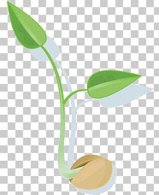 Twig Vegetation Leaf OpenGameArt Org Plant PNG Clipart Base Branch