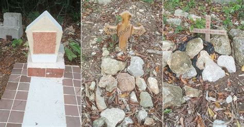 Un Cementerio Para Mascotas En La Habana