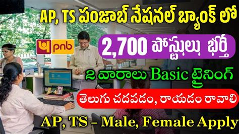 2 700 పసటలత AP TS PNB బయక ల జబస PNB Bank Recruitment