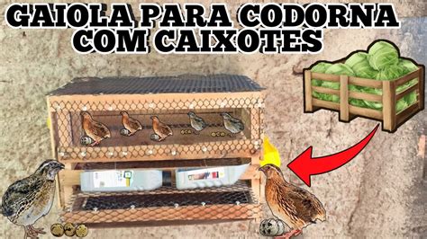 Fazendo Casinha Para Codornas Caixotes De Madeira Youtube