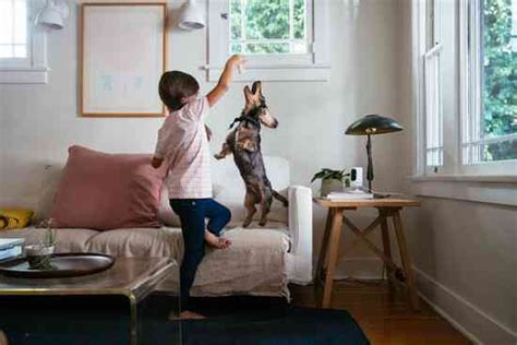 Vivint Smart Drive