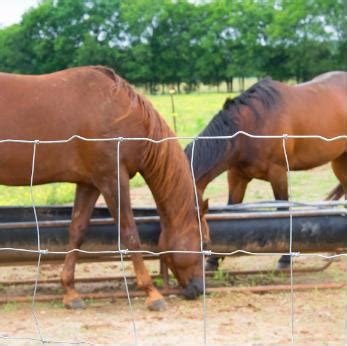 Factory Hotsale Galvanized High Tensile Sheep Fencing Curvy Mesh Fence