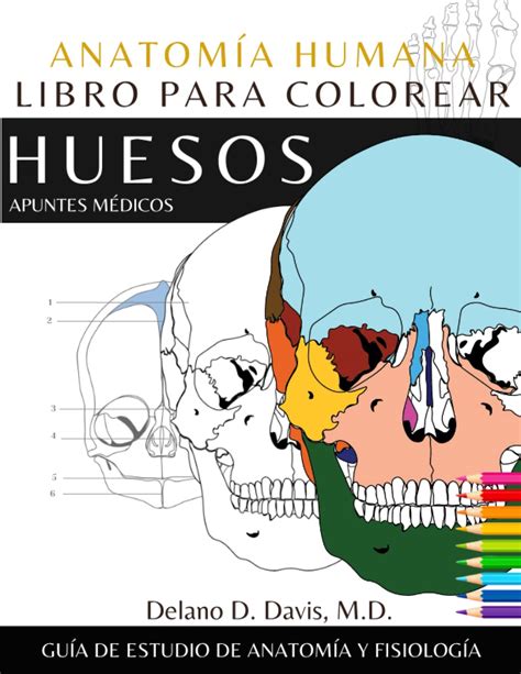 Buy Anatom A Humana Libro Para Colorear Huesos Ilustraciones