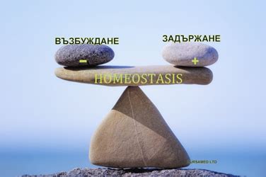 HEALTHNATURE: Здраве и хомеостаза
