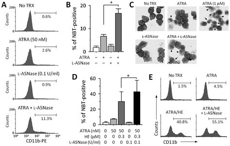 Analysis Of Gene Profiles Involved In The Enhancement Of All Trans