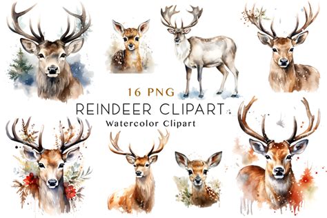 Watercolor Reindeer Clipart Bundle Graphic By Easyconceptsvg · Creative Fabrica