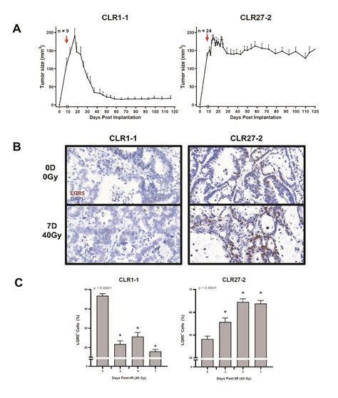 Acid Sphingomyelinase Ceramide Induced Vascular Injury Determines