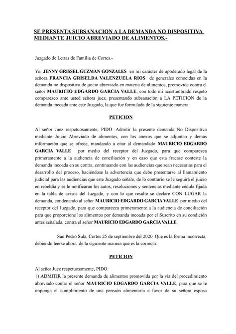 Escrito De Subsanacion De Demanda De Alimentos Se Presenta