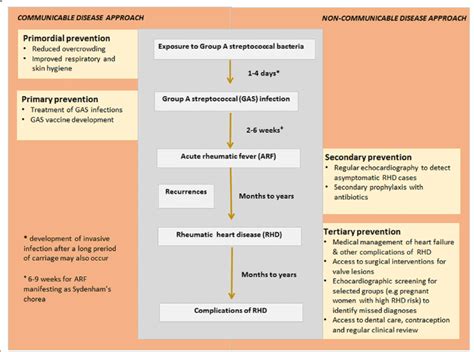 Schematic Diagram Of Pathophysiology Rheumatic Heart Disease Circuit Diagram