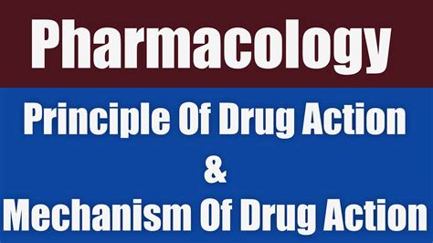 Principle Of Drug Action Mechanism Of Drug Action Pharmacology