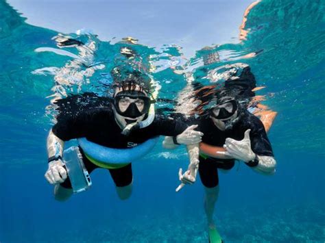 South Maui Pm Snorkel To Coral Gardens Or Molokini Crater Getyourguide