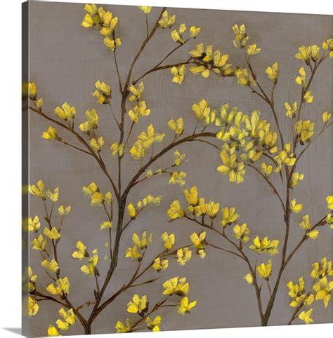 Forsythia Ii Wall Art Canvas Prints Framed Prints Wall Peels Great