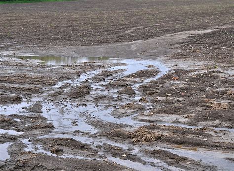 lessivage du sol gamm vert