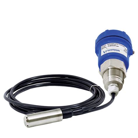 Whitman Controls L95 Series Hydrostatic Pressure Level Transmitter