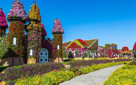 Dubai Miracle Garden Guide Ticket Price Timings More Mybayut