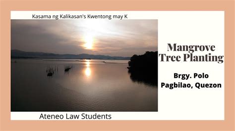 Ateneo Law Students Mangrove Tree Planting In Brgy Ibabang Polo