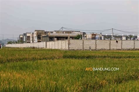 FOTO Alih Fungsi Lahan Pertanian Ayo Bandung