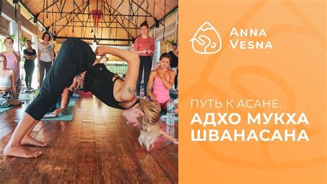 Поза собаки мордой вниз - самый подробный разбор Адхо Мукха Шванасаны ...