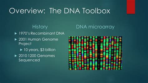 Ch20 Biotechnology Overview The Dna Toolbox History 1970s