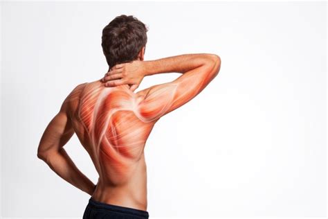 how to know if back pain is muscle or spine