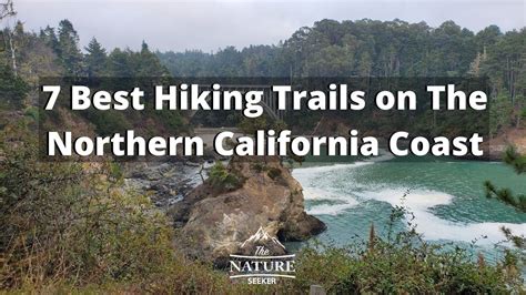 The 7 Best Hiking Trails on The Northern California Coast